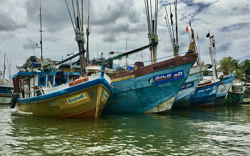 Fishing plays a key role in the economic and social life of Negombo