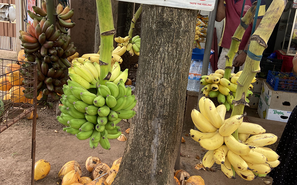 A Sri Lanka banana a day keeps the doctor away!