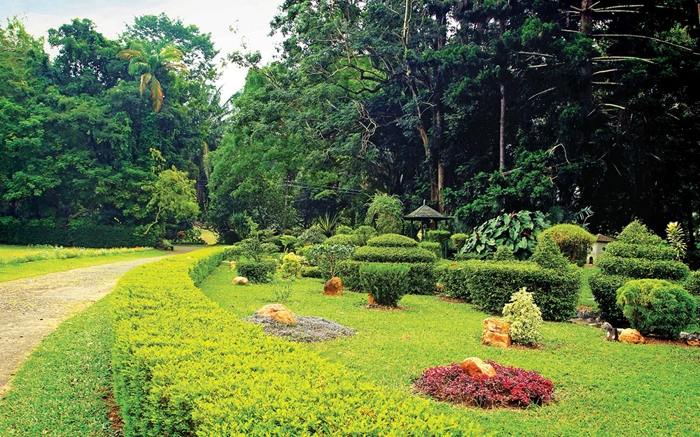 Henarathgoda Botanical Gardens, a Sri Lanka horticultural gem!