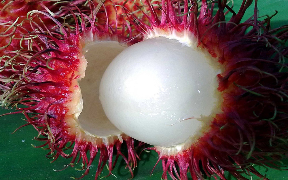 Rambutan, a Sri Lanka superfood that looks good and tastes good!